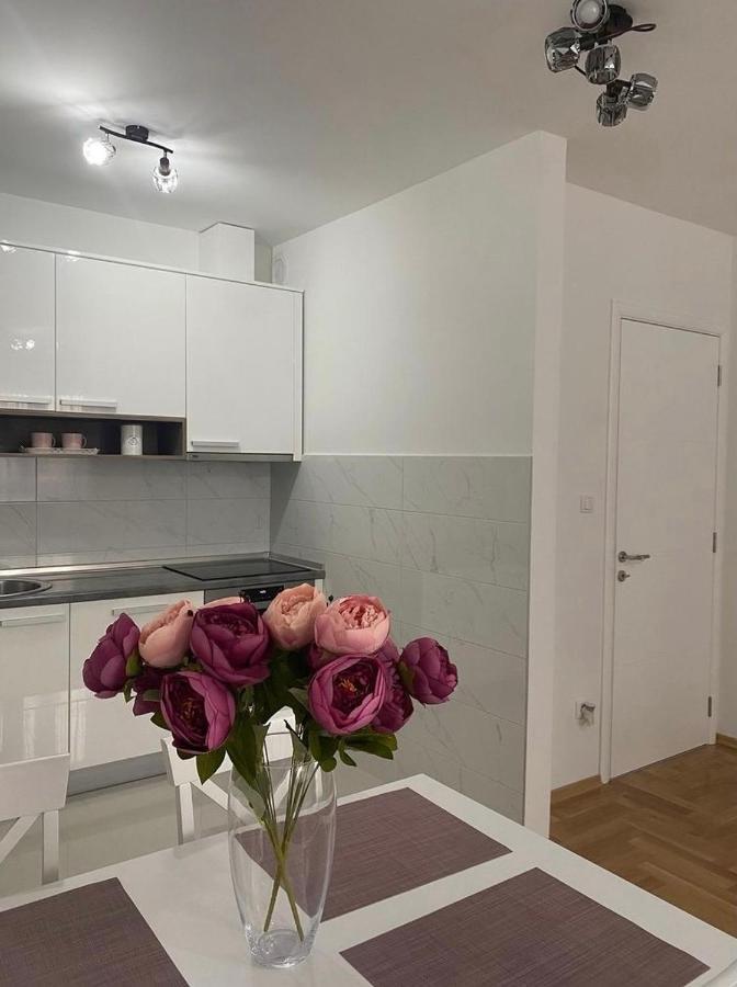 Appartamento Iskra Banja Luka Esterno foto